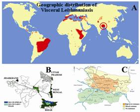 D:\Mukesh Samant 2006-07\Mukesh thesis\Thesis figures\VL in Word and India.tif
